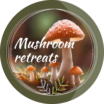 mushroommedicine.art